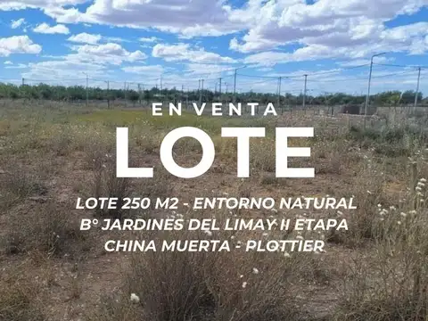 VENTA LOTE B°JARDINES DEL LIMAY II CHINA MUERTA NQ