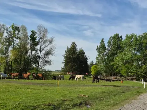 Terreno en Venta de 5000,0 m2