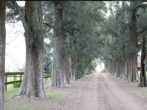 Venta lote en Haras El Malacate Campo y Polo