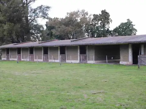 Terreno en Venta en Exaltacion De La Cruz, USD 50.000