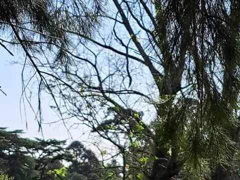 Terreno en Venta de 5332,0 m2