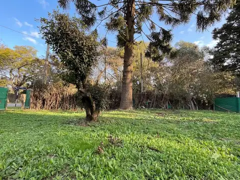 Terreno en Venta en Maquinista F Savio, USD 45.000