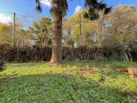 Terreno en Venta de 292,0 m2