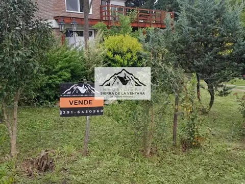 benteveo 100