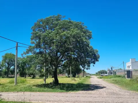 La Bella esquina, terreno en zona norte