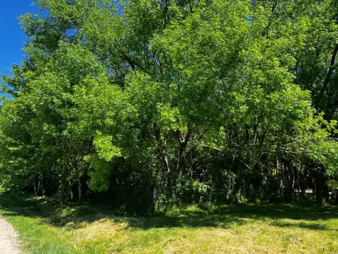 Lote en venta en El Rincon Villa Elisa