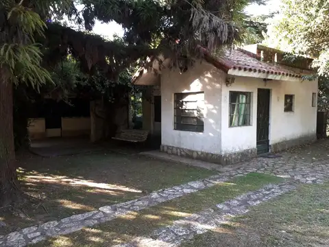 Cortejarena