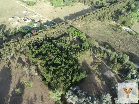 506 y 216 - Las Casuarinas