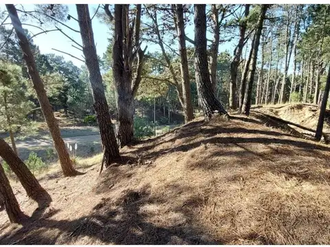 Terreno en Venta de 1103,0 m2