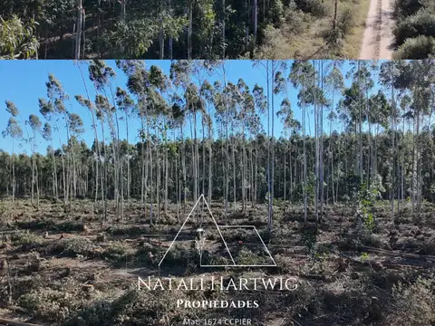 32has campo en venta