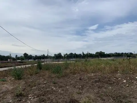 Terreno en Venta 15  mts Fondo