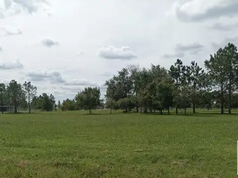 Terreno en Venta de 2004,0 m2