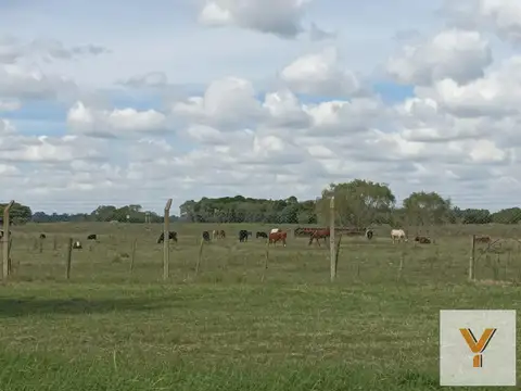 Terreno en venta - 2004mts2 - Marcos Paz