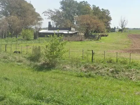 Local sobre ruta 205 km 108