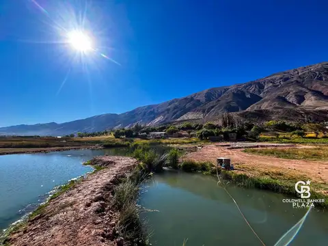 VENTA TERRENO - MAIMARA LOTE 3B