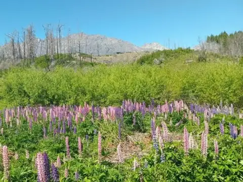 Terreno en Venta 100  mts Fondo