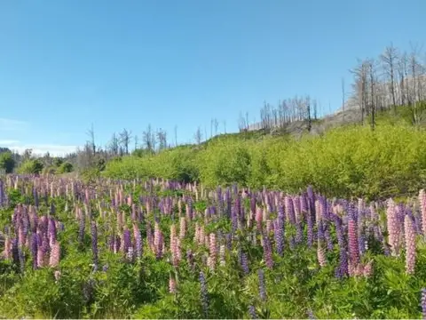 Terreno en Venta de 3000,0 m2