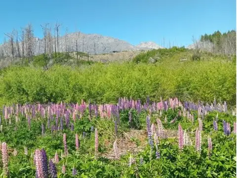 Terreno en Venta en Lago Puelo, Cushamen