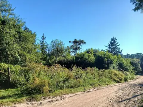 Terreno en Venta de 800,0 m2