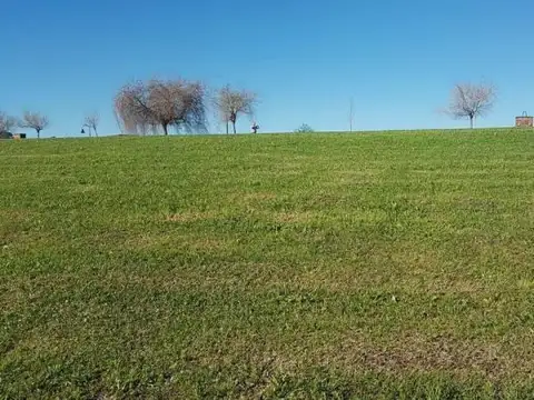 Ruta 25