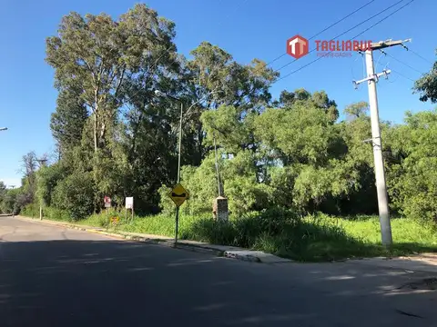 Terreno - Pantanillo este