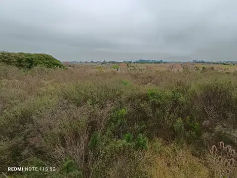 Terreno en venta de 52416m2 ubicado en Empalme Nicolich