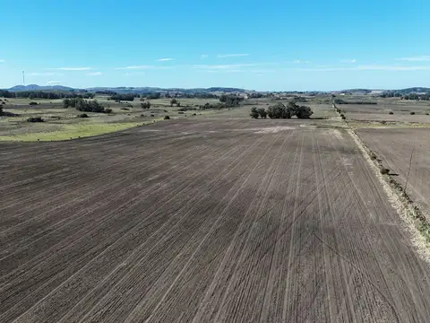 Campo de 17 ha en venta puntas de Laguna del Sauce