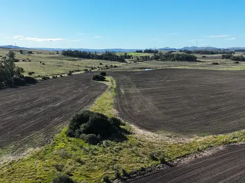 Campo de 17 ha en venta puntas de Laguna del Sauce