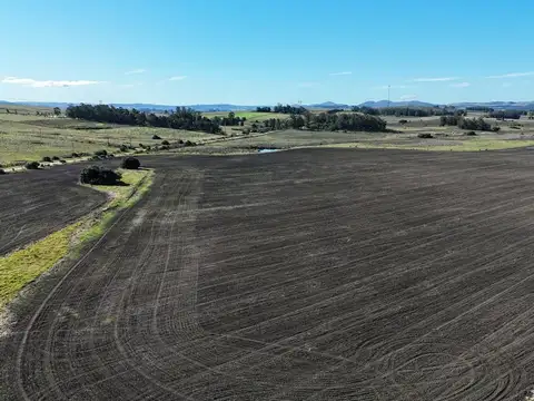 Campo de 17 ha en venta puntas de Laguna del Sauce