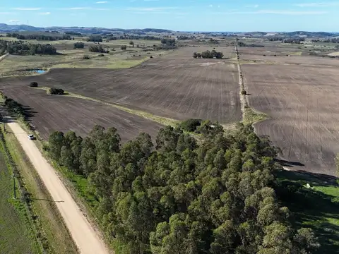 Campo de 17 ha en venta puntas de Laguna del Sauce