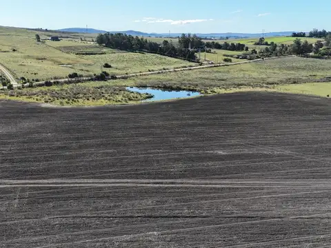 Campo de 17 ha en venta puntas de Laguna del Sauce