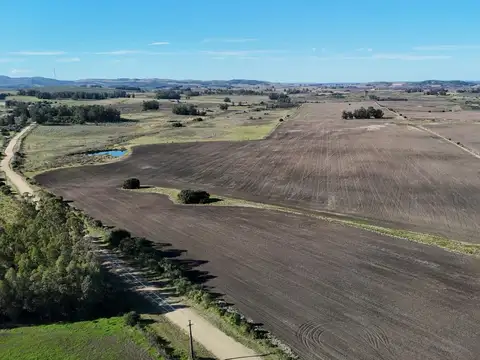 Campo de 17 ha en venta puntas de Laguna del Sauce