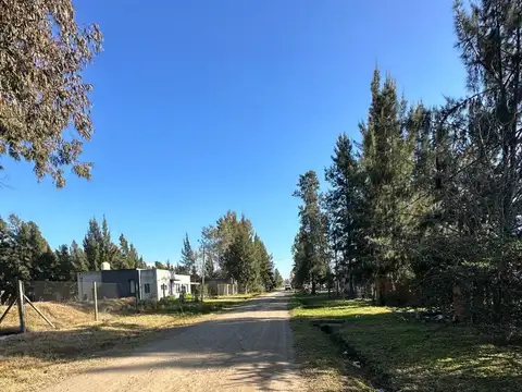 LOTE DE 20 X 50 EN BARRIO EL RODEO