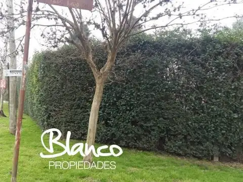 Terreno en Venta de 5016,0 m2