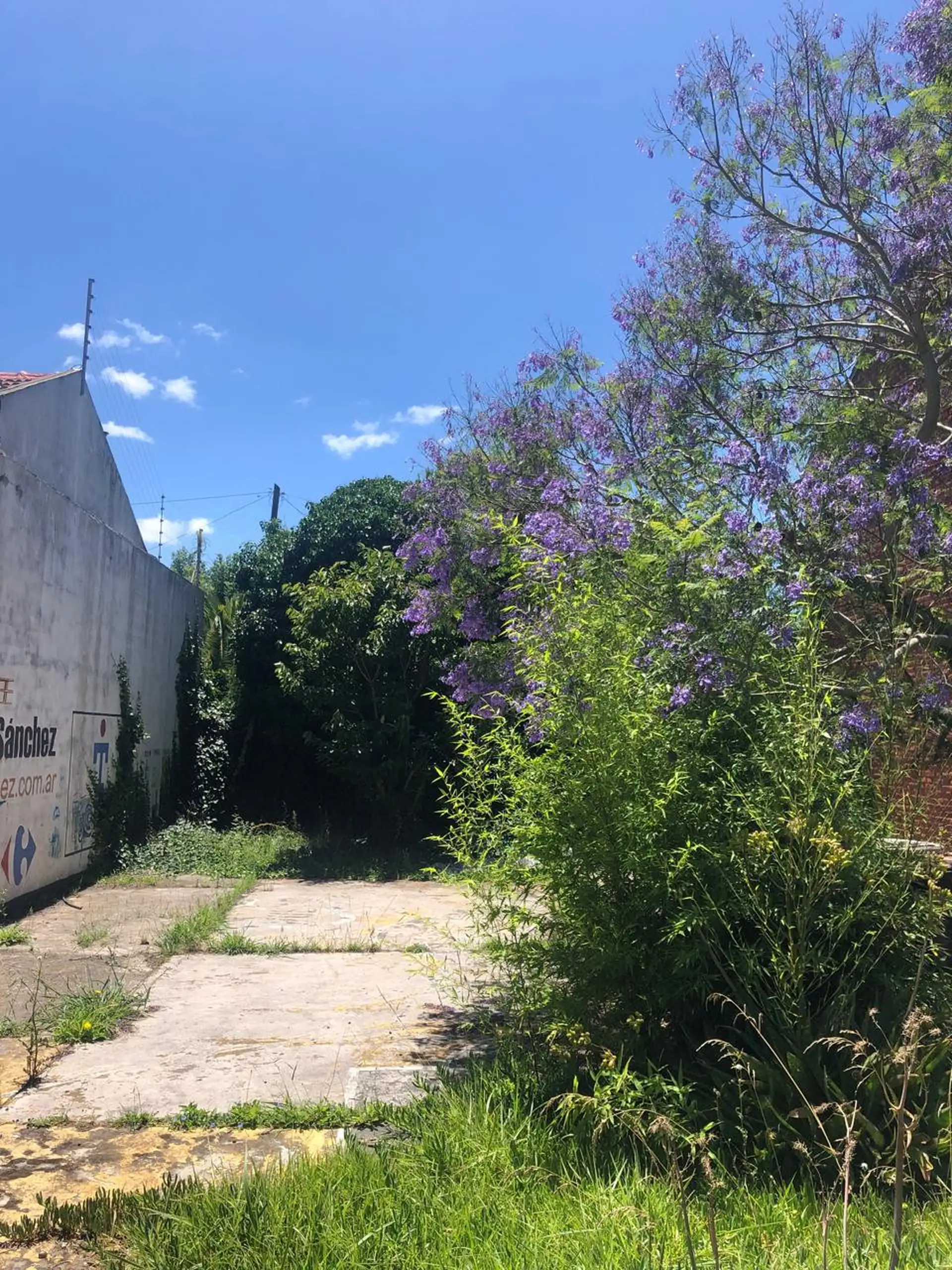 Lote 288m² en zona residencial — Constitución