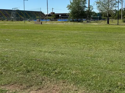 Los Pasos Barrio Abierto