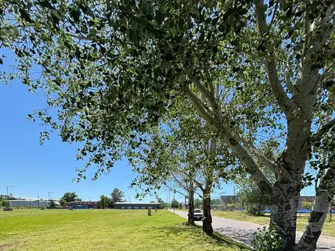 Los Pasos Barrio Abierto