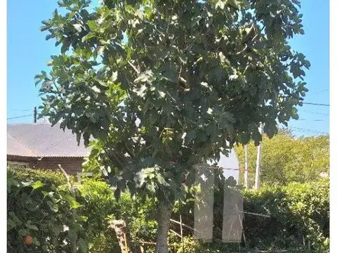 Casa en Venta en General Madariaga, USD 85.000