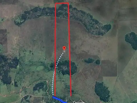 Campo 70 Hectáreas Ganadero  San Luis del Palmar