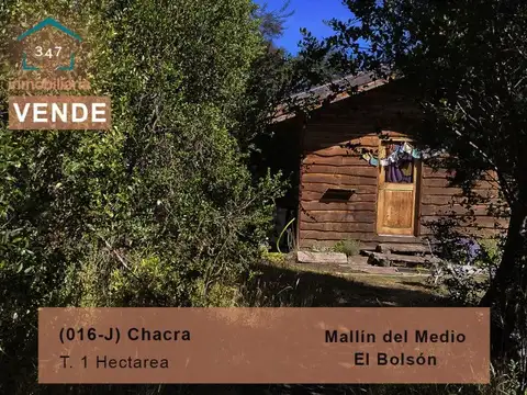 (016-J) EL BOLSON (Mallin Ahogado) Chacra 1 Ha.