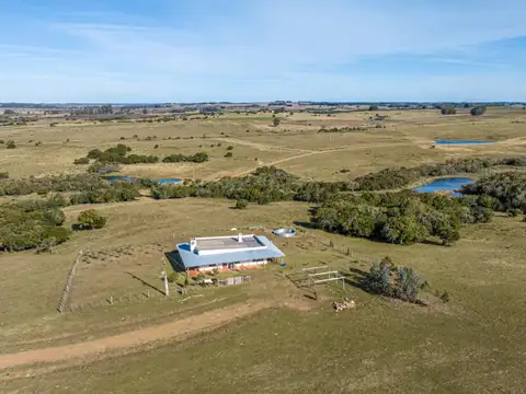Campo de 177 has. en José Ignacio