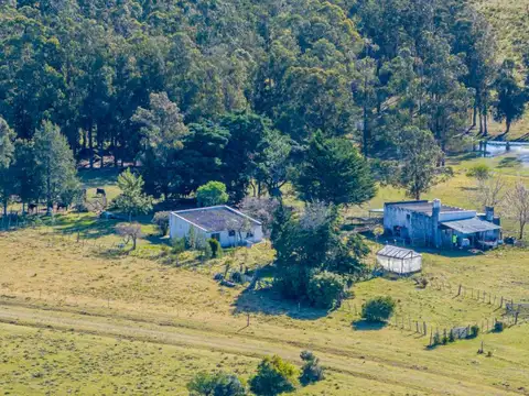 Campo de 177 has. en José Ignacio 100
