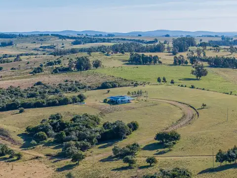 Campo de 177 has. en José Ignacio
