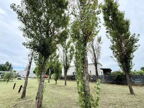 Terreno Lote  en Venta en San Alfonso, Pilar del Este, Pilar