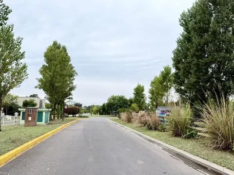 San Alfonso, Pilar del Este 100