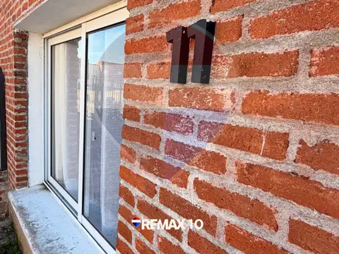 Duminoso Terra y Carlos Roxlo 100