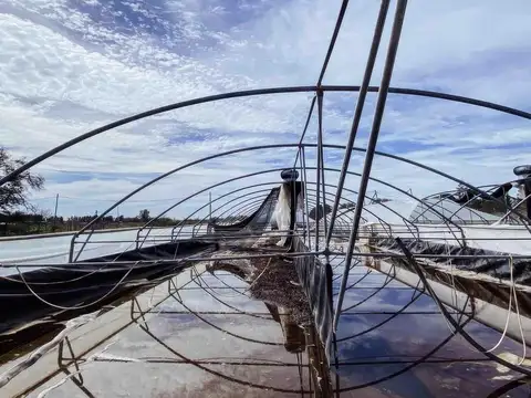 Terreno en Venta en Lisandro Olmos Etcheverry, USD 180.000