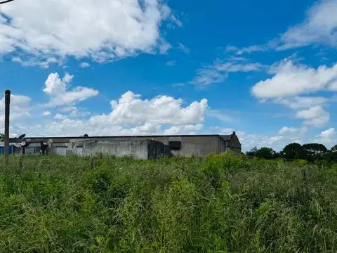 Galpon en Alquiler 56 años