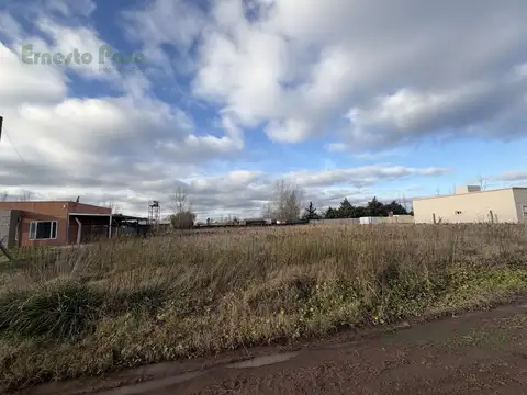 Terreno en venta, Quintas del Sur, Trenque Lauquen