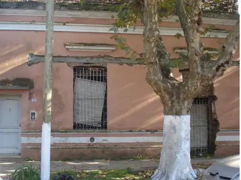 Belgrano 1821